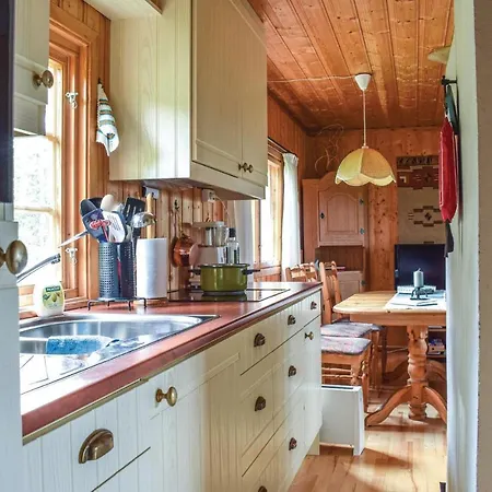 Stunning In With Kitchen Feriehus Sjusjoen